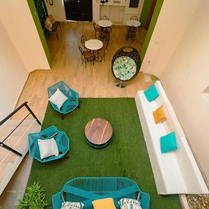 Nido Colibri - Private Rooms And Hostel Dorms In Remate De Paseo Montejo